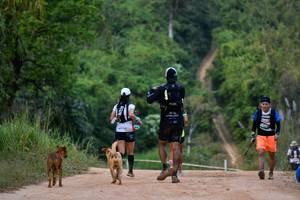 BIB: 
                            <button type="button" onclick="openModal(19444212)" class="btn btn-primary btn-sm float-right btn-popup" data-toggle="modal" data-target=".modal-high-quality">
                        <i class="fas fa-shopping-cart"></i> Add to Cart
                    </button>
                                            <button type="button" onclick="isThisMe(19444212, true)" class="btn btn-success btn-sm float-right btn-popup btn-isme hidden" data-toggle="tooltip" data-placement="bottom" title="นี่คือรูปของคุณใช่ไหม คลิกที่นี่เพื่อเอาเข้าอัลบั้ม">
                        <i class="fas fa-plus"></i> Add to album
                    </button>
                    <button type="button" onclick="isThisMe(19444212, false)" class="btn btn-warning btn-sm float-right btn-popup btn-isnotme hidden">
                        <i class="fas fa-ban"></i> Remove from album
                    </button>